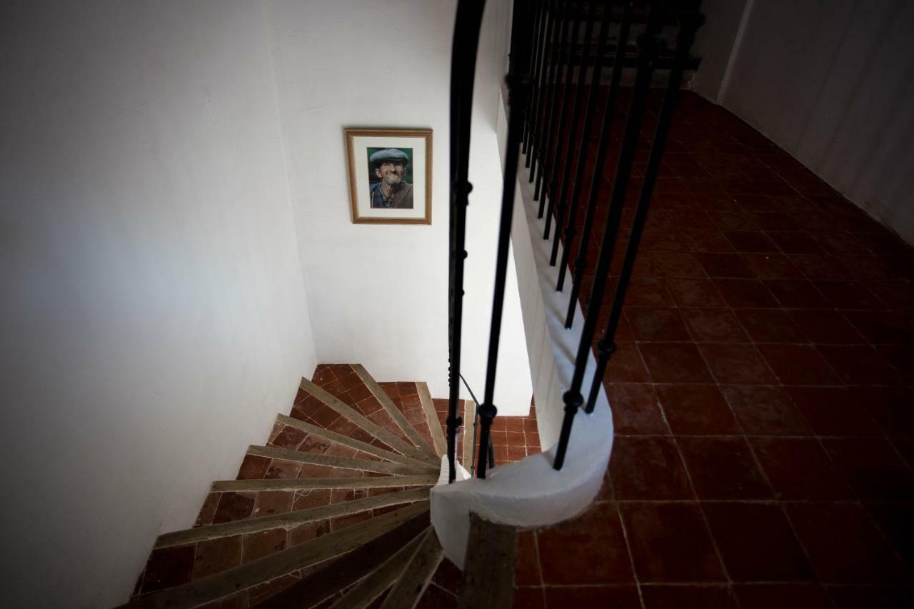 Maison d'hôtes Ventoureso Malemort-du-Comtat Extérieur photo